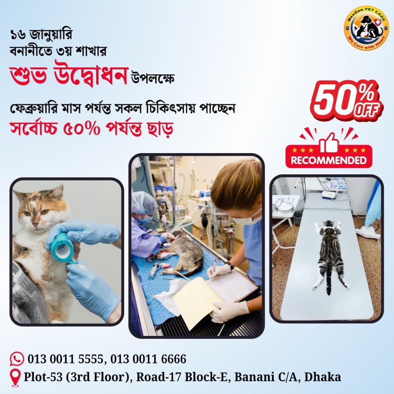 Services